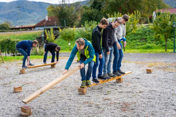 MELTIQ Teamday 2022