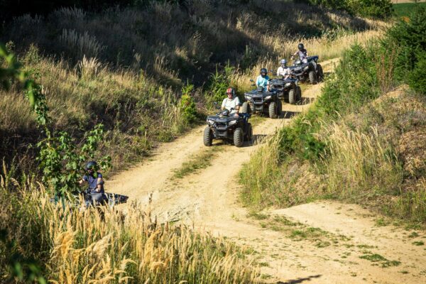 MELTIQ Teamday 2023